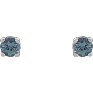 14K White 2.5 mm Natural Aquamarine Stud Earrings with Friction Post