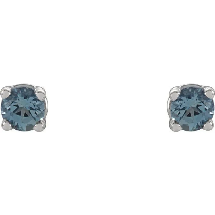 14K White 2.5 mm Natural Aquamarine Stud Earrings with Friction Post