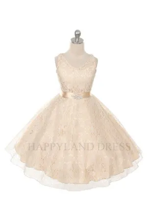 D742 Champagne  V Neck Lace Dress