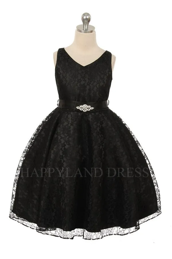 D742 Champagne  V Neck Lace Dress