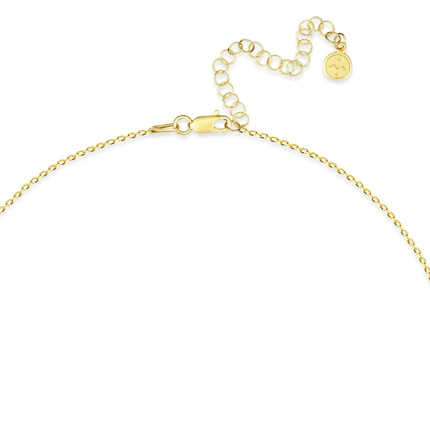 Diamond Letter Necklace "Z" - 18 karat gold vermeil on sterling silver, diamond 0.01 carat