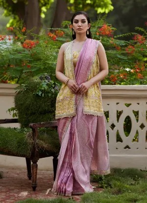 Iqala Saree, Blouse And Jacket