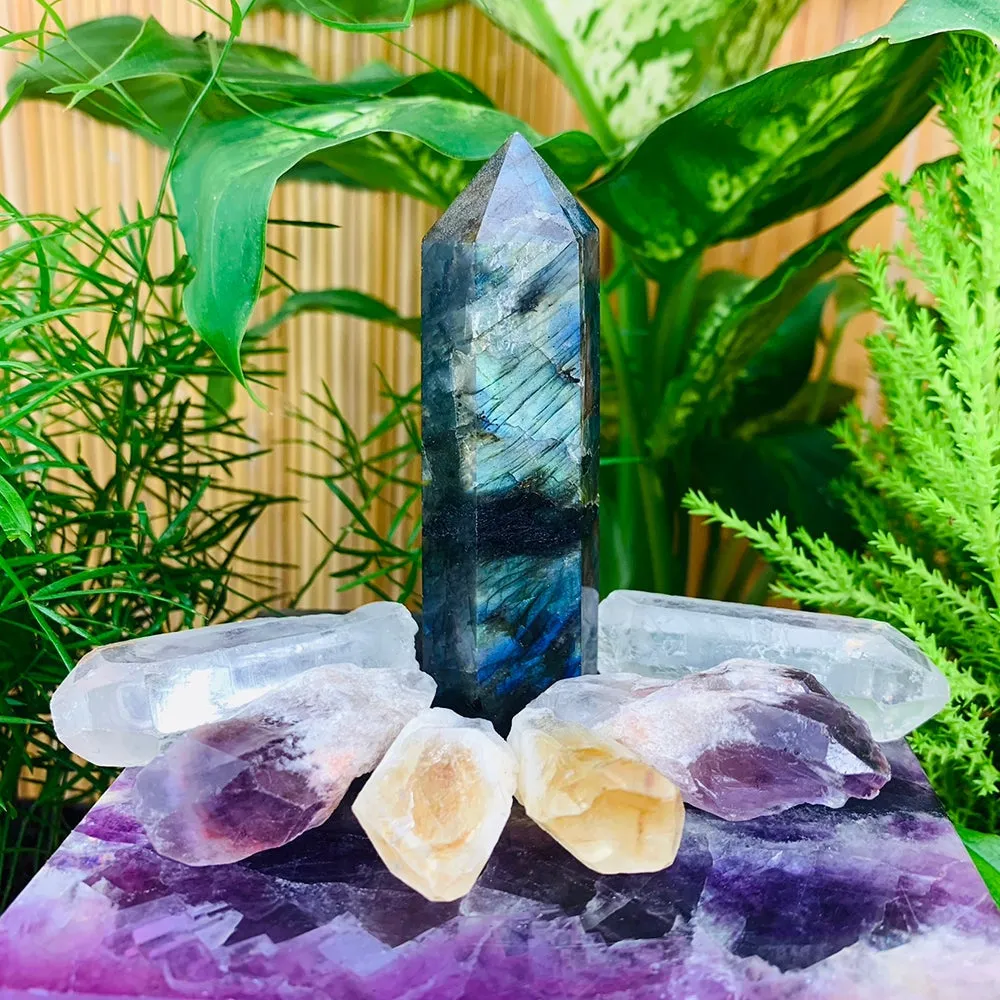 Labradorite Transformational 7-Piece Set