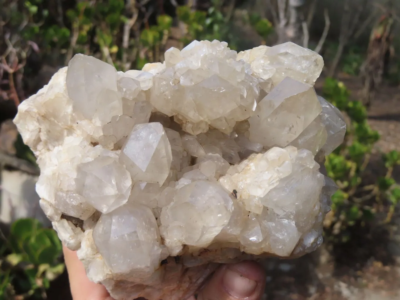 Natural Smokey Quartz Cluster x 1 From Congo