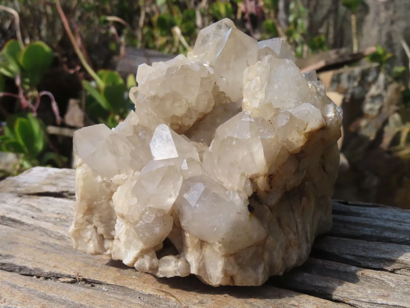 Natural Smokey Quartz Cluster x 1 From Congo