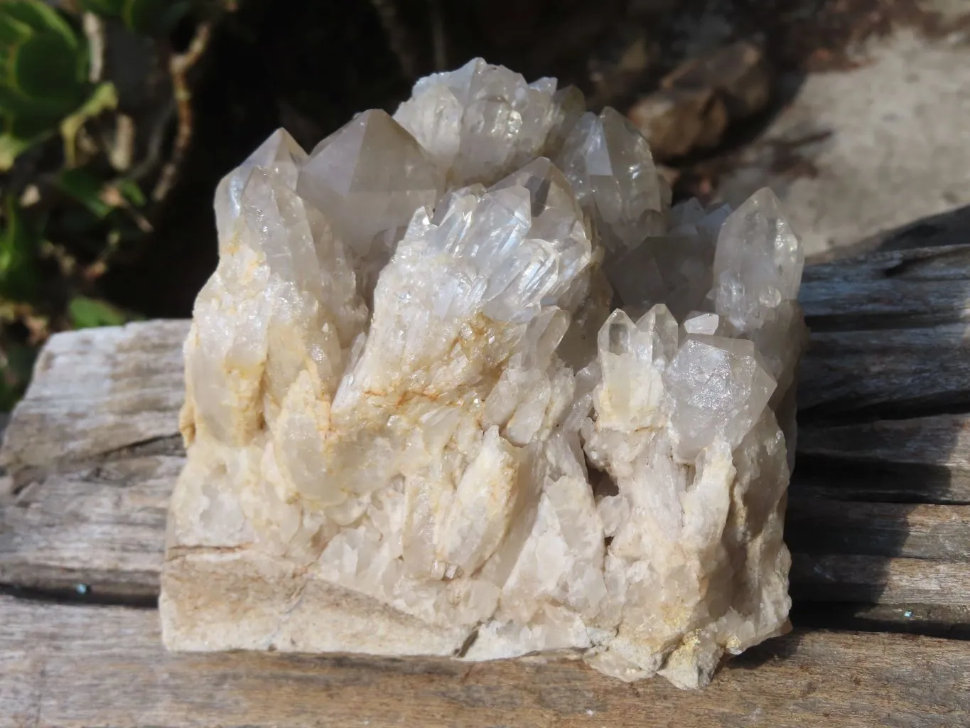 Natural Smokey Quartz Cluster x 1 From Congo