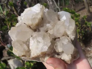 Natural Smokey Quartz Cluster x 1 From Congo