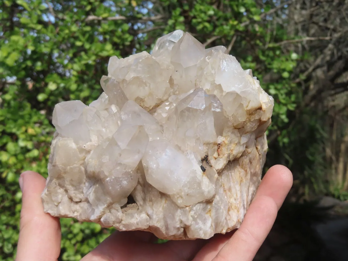 Natural Smokey Quartz Cluster x 1 From Congo