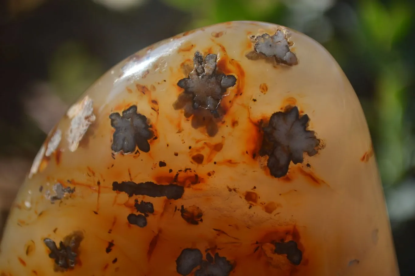 Polished Ocean Flower Agate Standing Free Forms x 3 From Antsahalova, Madagascar