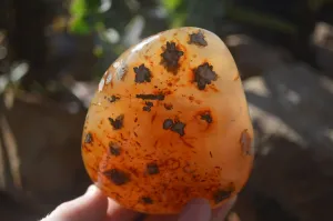 Polished Ocean Flower Agate Standing Free Forms x 3 From Antsahalova, Madagascar