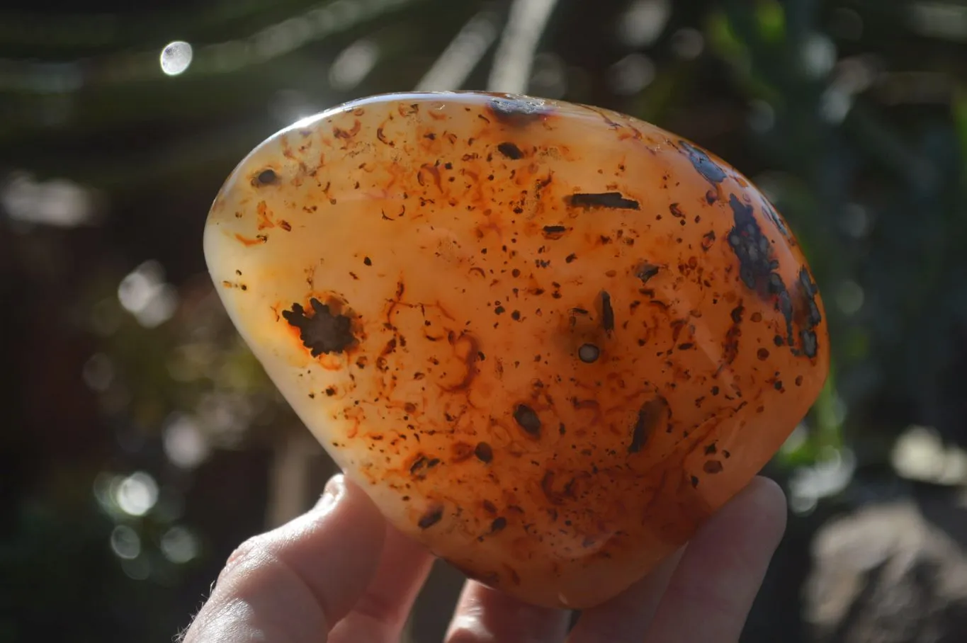 Polished Ocean Flower Agate Standing Free Forms x 3 From Antsahalova, Madagascar