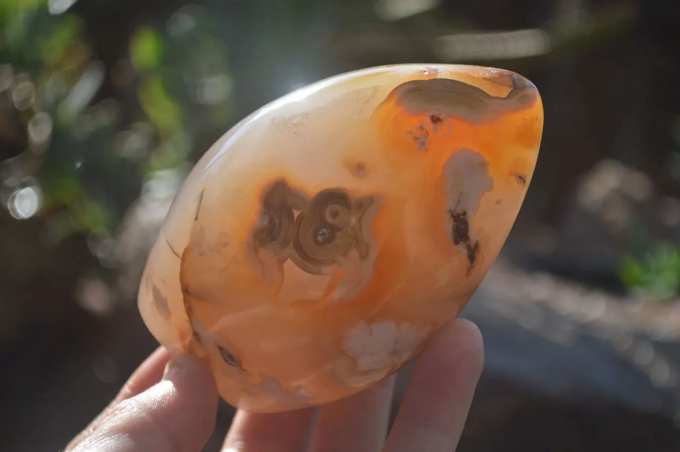 Polished Ocean Flower Agate Standing Free Forms x 3 From Antsahalova, Madagascar