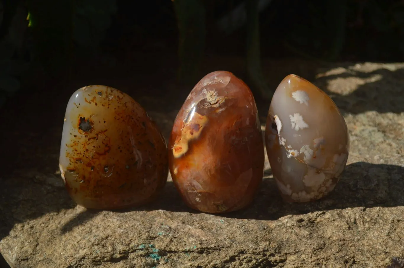 Polished Ocean Flower Agate Standing Free Forms x 3 From Antsahalova, Madagascar