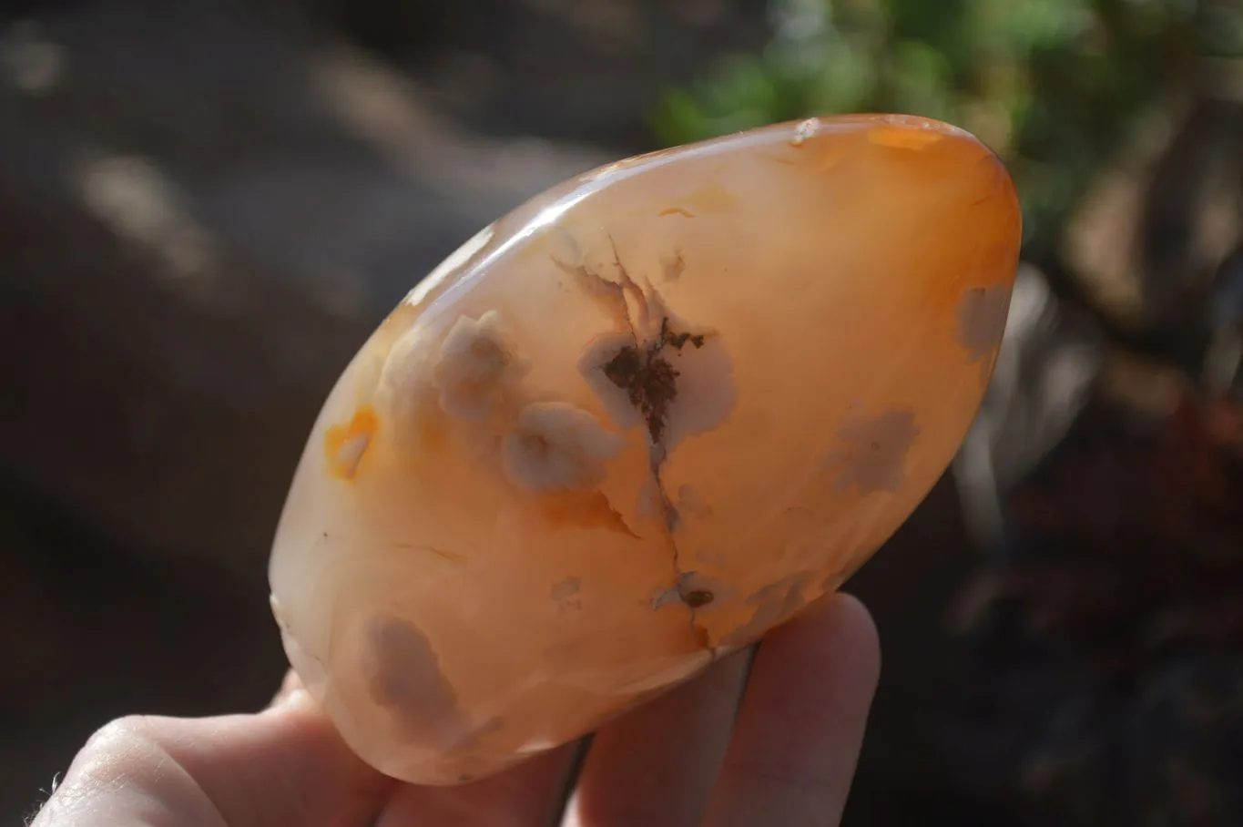 Polished Ocean Flower Agate Standing Free Forms x 3 From Antsahalova, Madagascar