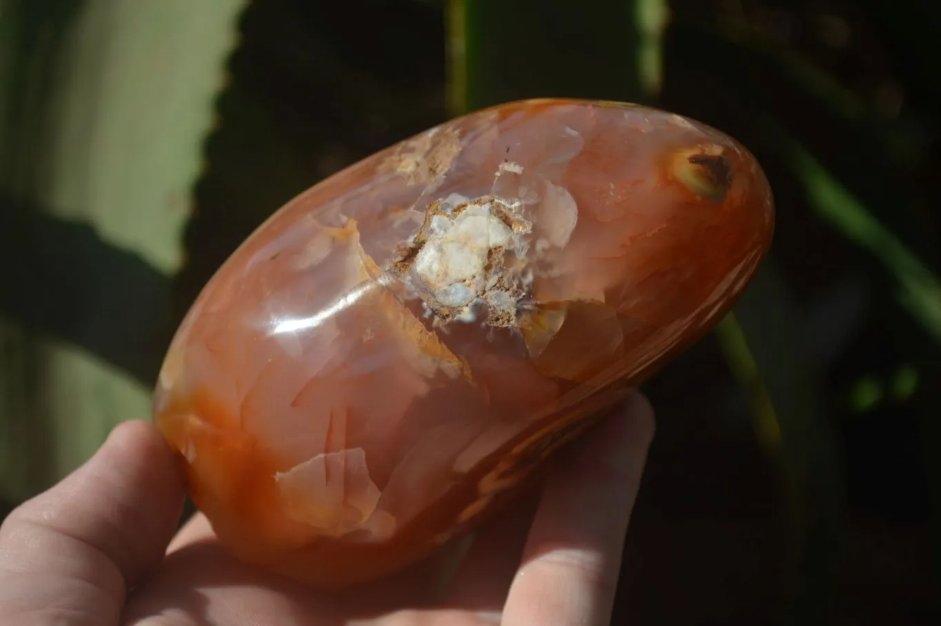 Polished Ocean Flower Agate Standing Free Forms x 3 From Antsahalova, Madagascar