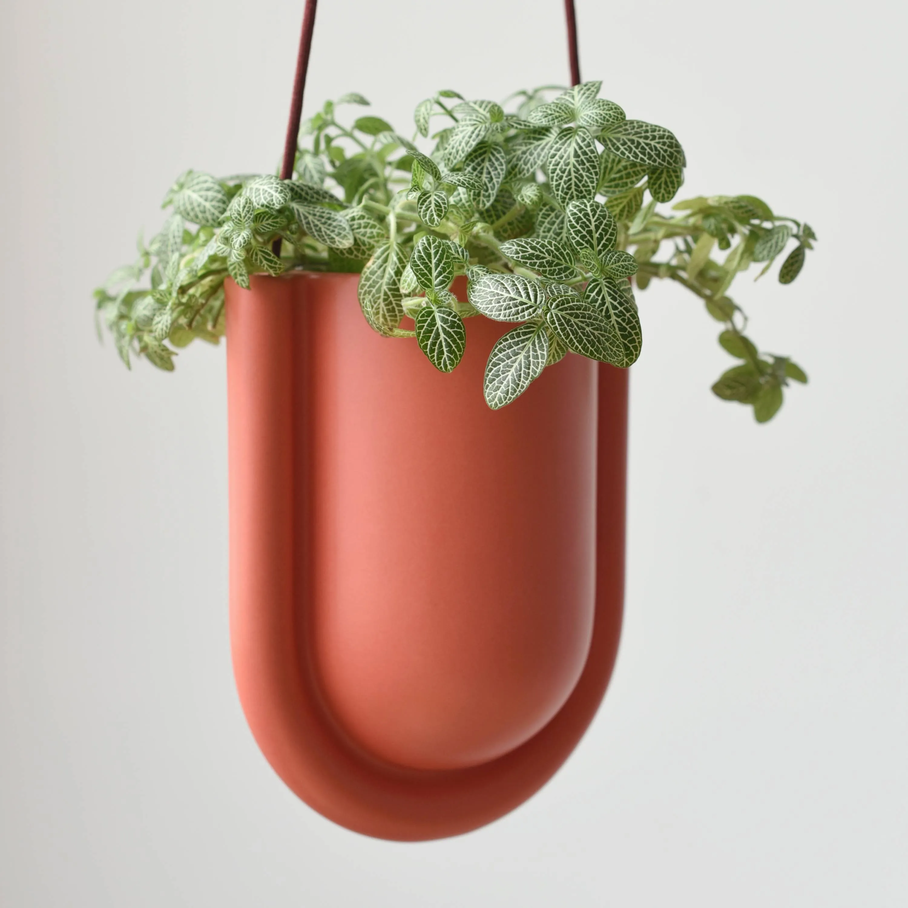 Portico Planter