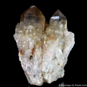 Rare 4" Natural Citrine Lightbrary Record keeper Kundalini Quartz Crystal Cluster