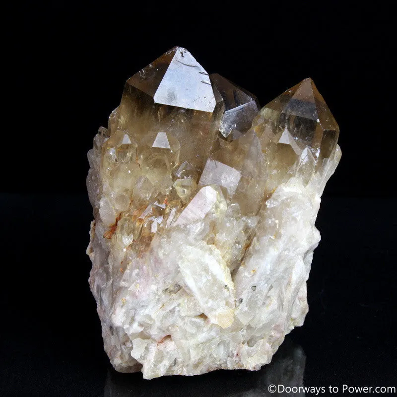 Rare 4" Natural Citrine Lightbrary Record keeper Kundalini Quartz Crystal Cluster