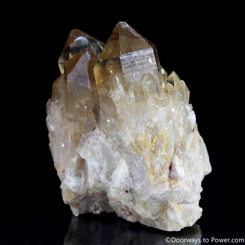 Rare 4" Natural Citrine Lightbrary Record keeper Kundalini Quartz Crystal Cluster